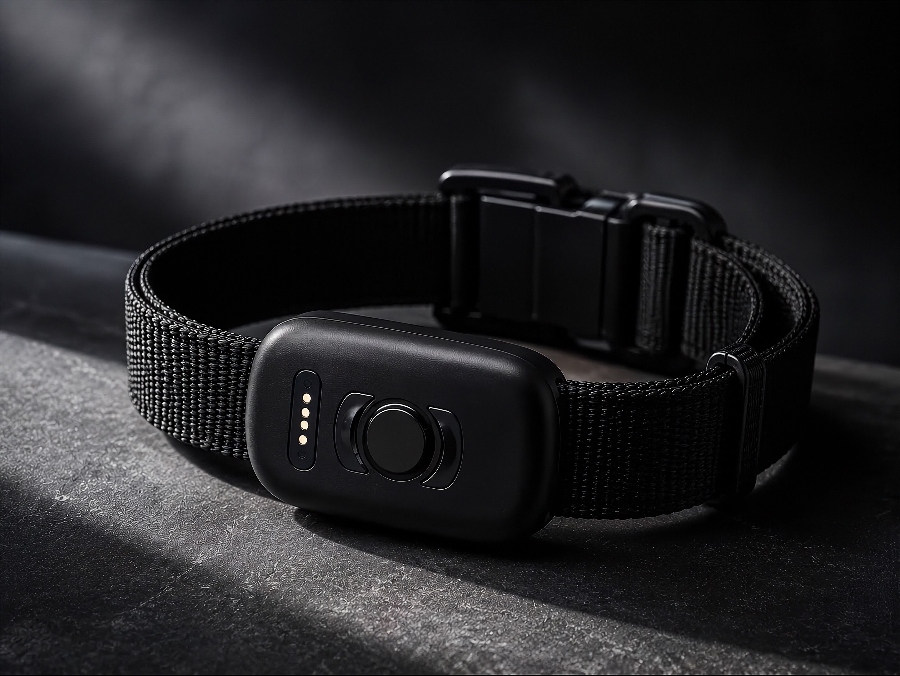 Tasskoll GPS-halsband