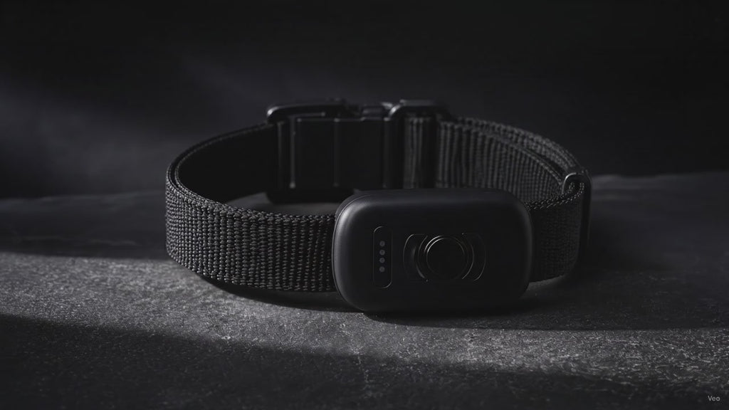 Tasskoll GPS-halsband
