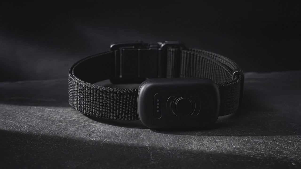 Tasskoll GPS-halsband